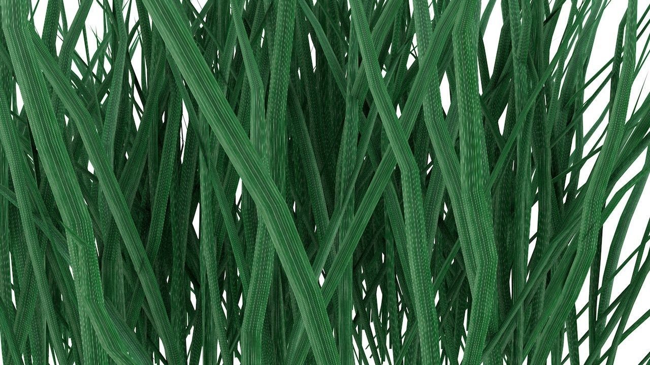 Real Grass Low-poly 3D model_4