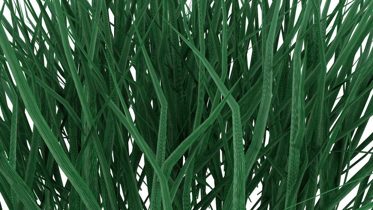 Real Grass Low-poly 3D model_3