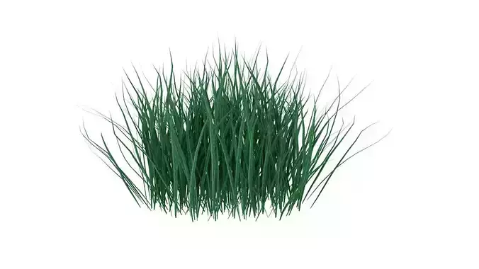 Real Grass Low-poly 3D model