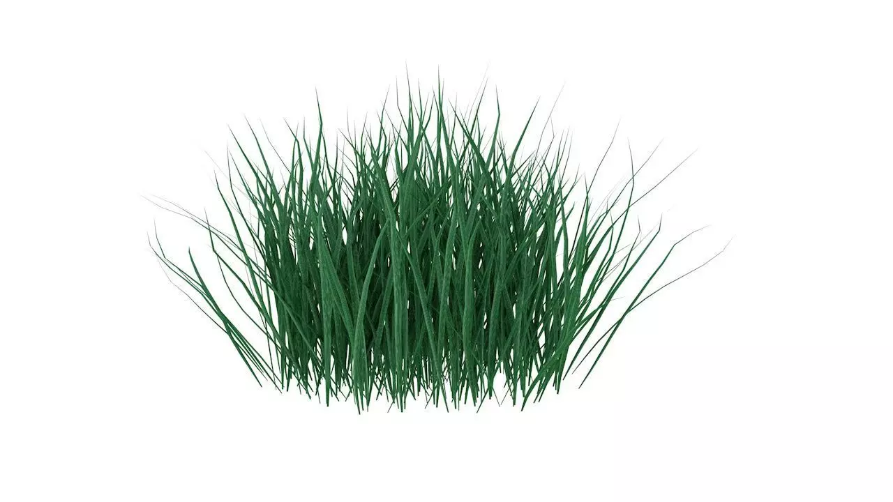 Real Grass Low-poly 3D model_0