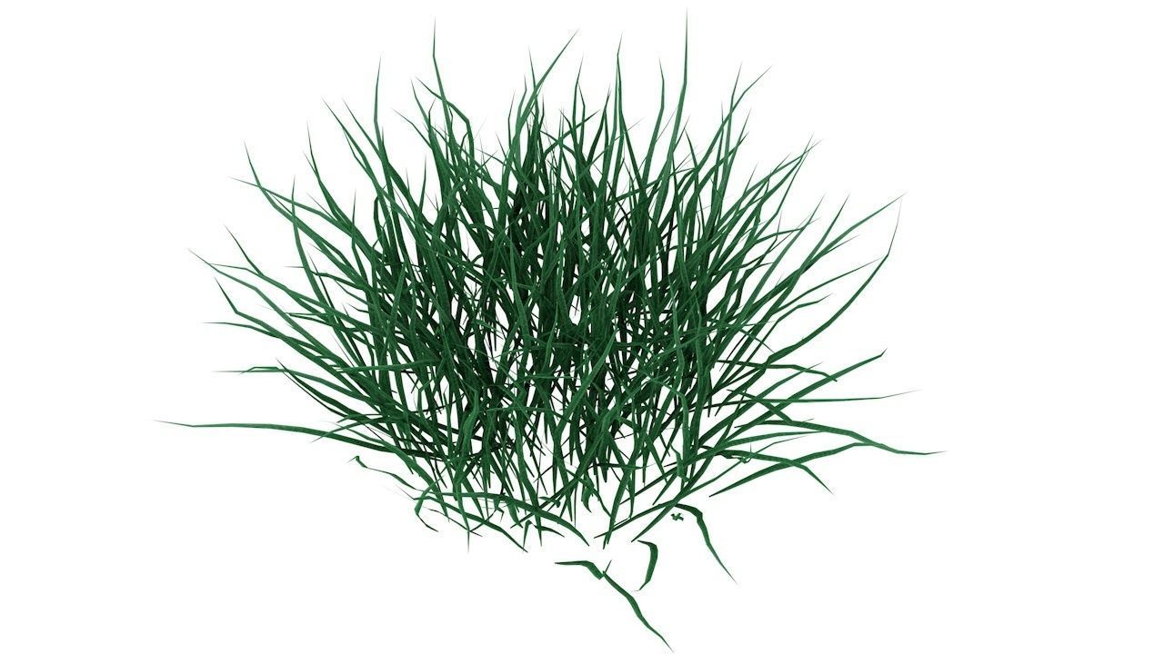 Real Grass Low-poly 3D model_2