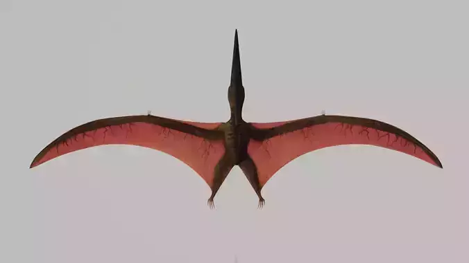 Pterodactyl dinosaur flying in air Low-poly 3D model