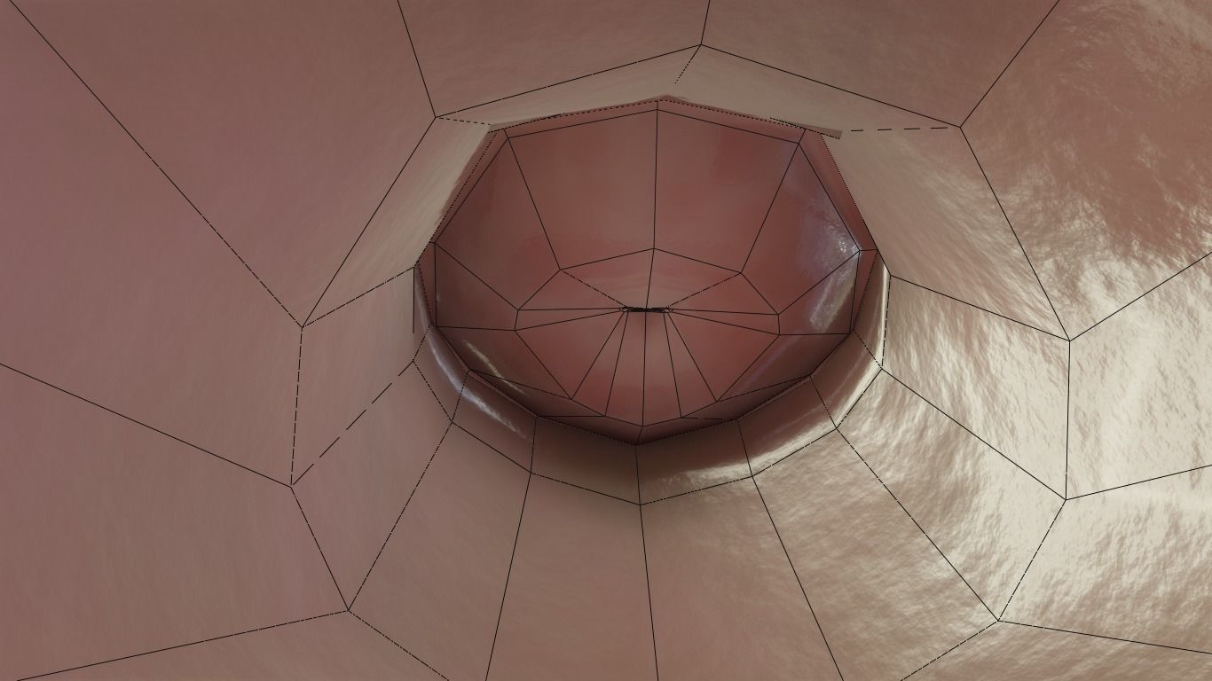 female reproductive system Low-poly 3D model_16