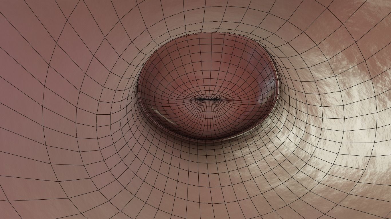 female reproductive system Low-poly 3D model_18