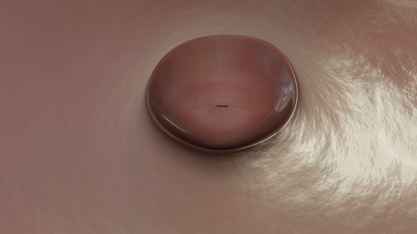 female reproductive system Low-poly 3D model_19