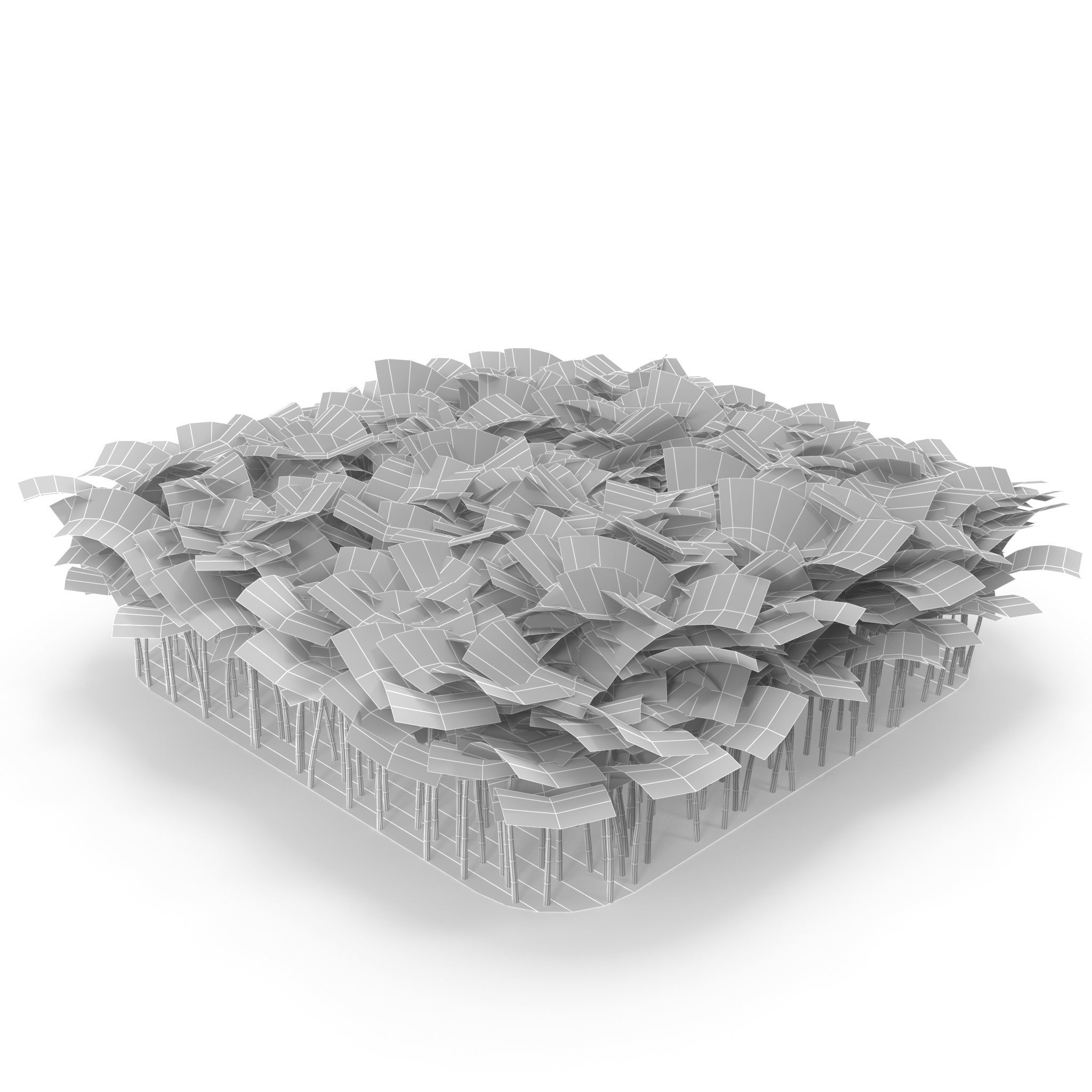 Beet bulls bloodl rect 3D model_2