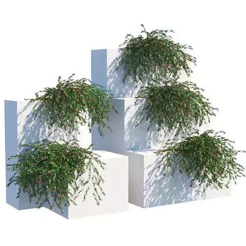 plant 1247 3D model