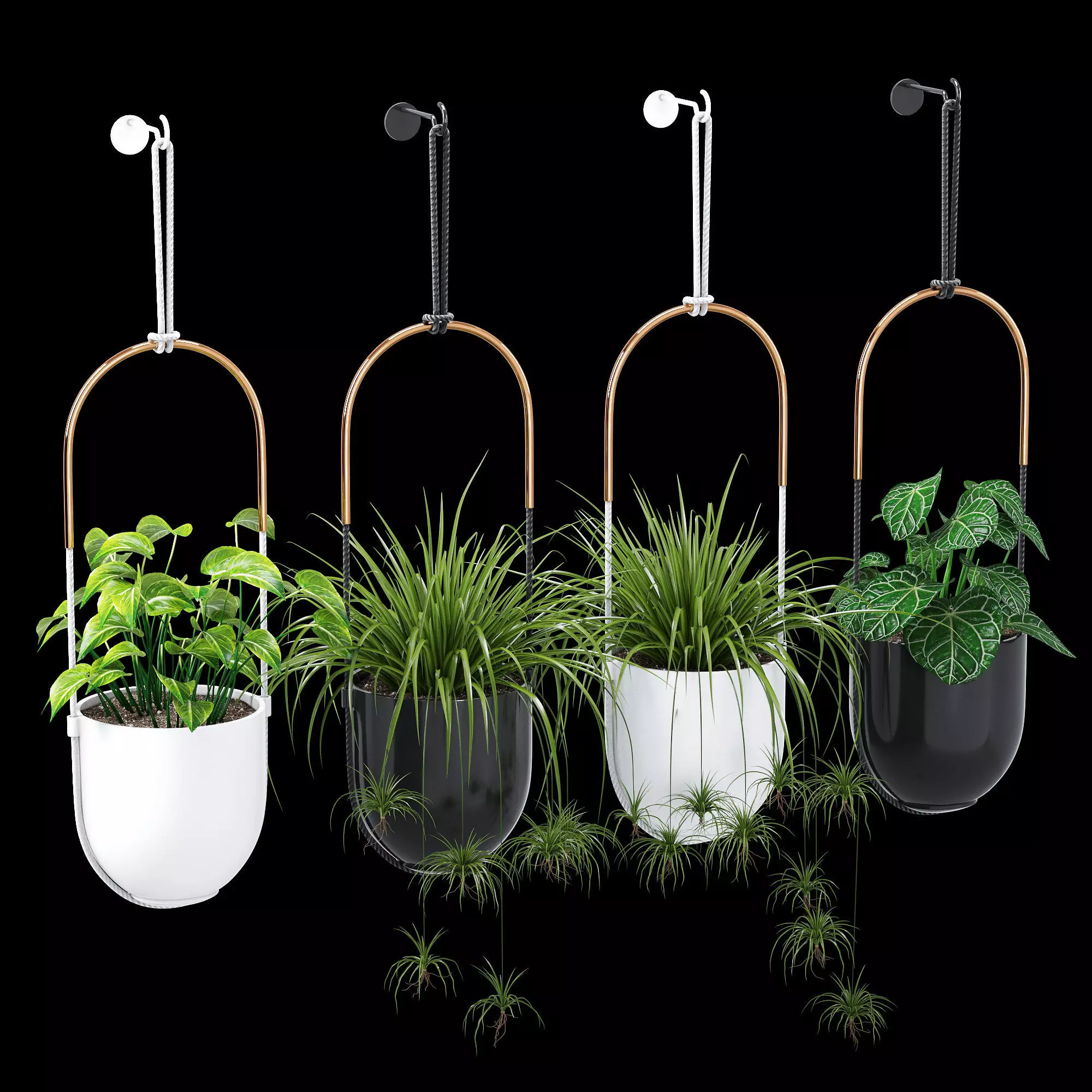 Bolo planter 3D model