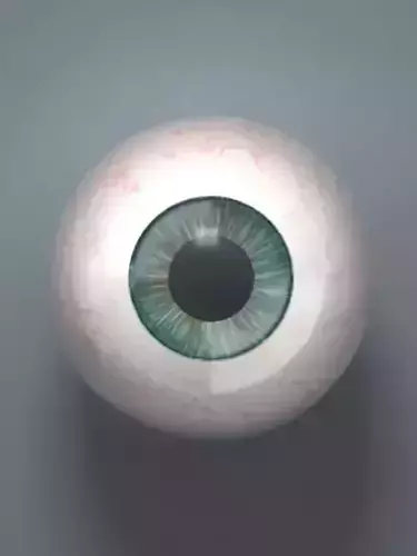 Blue Eyeball Low-poly 3D model
