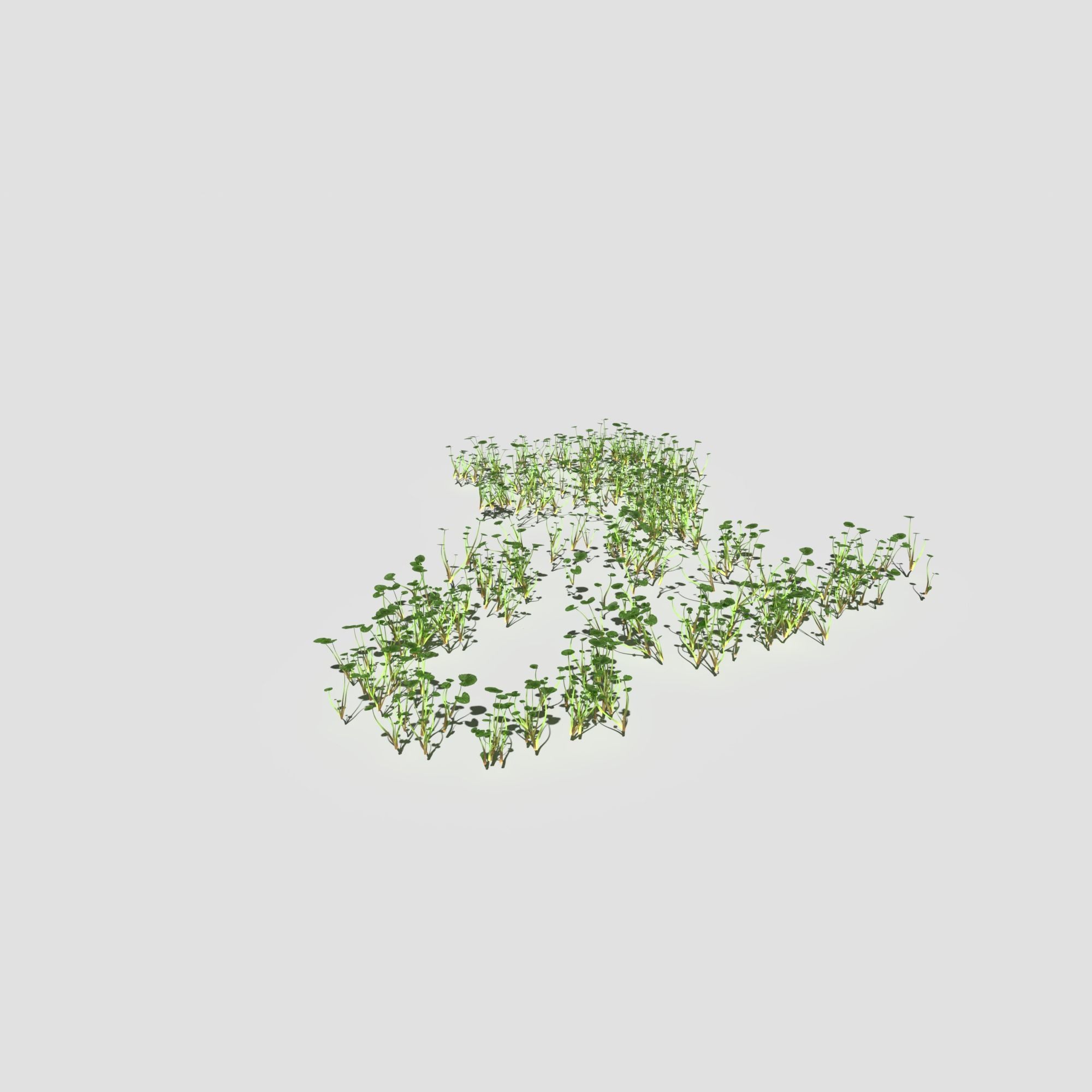 Creeping Buttercup Flower Meadow Patch 3D model_17