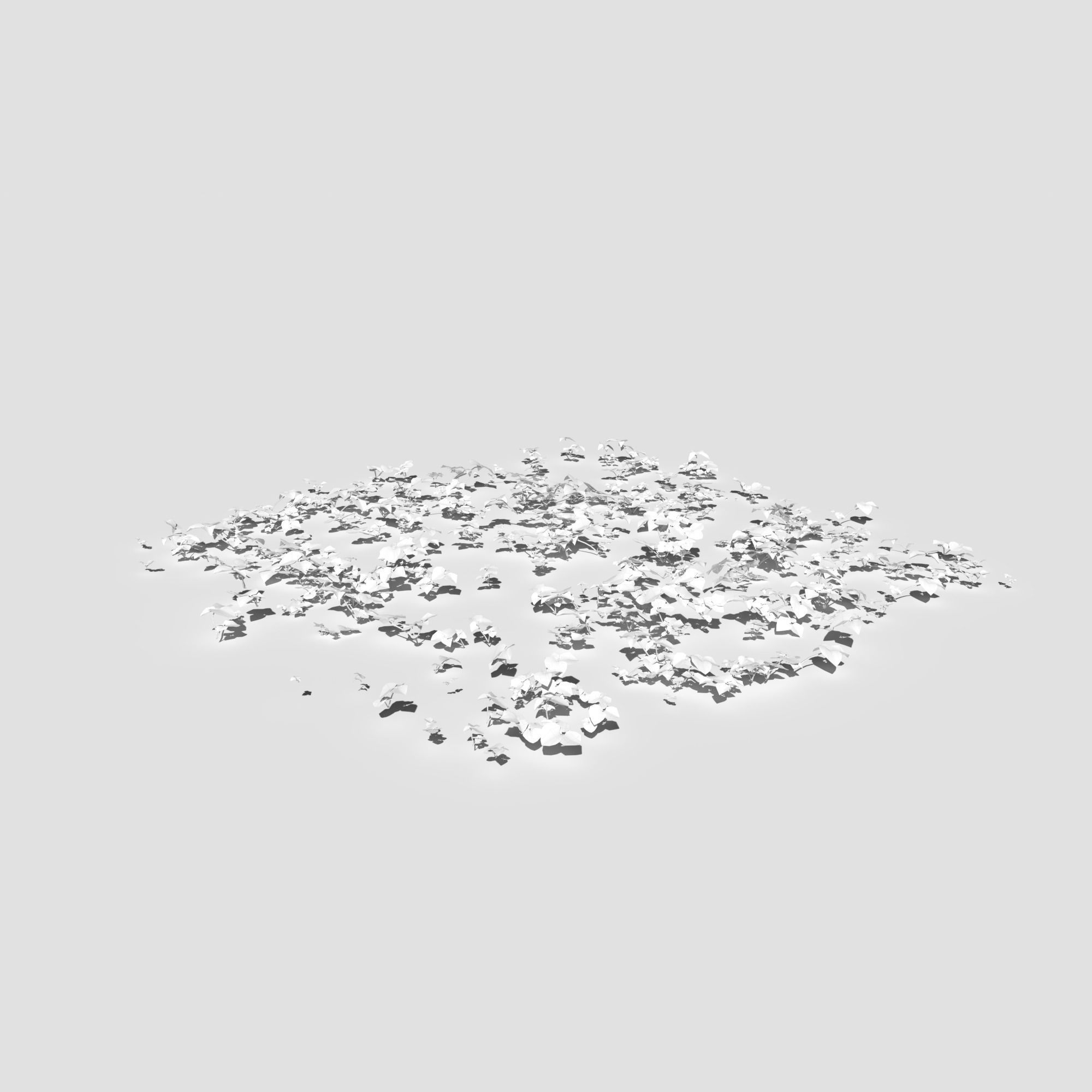 Creeping Buttercup Flower Meadow Patch 3D model_11