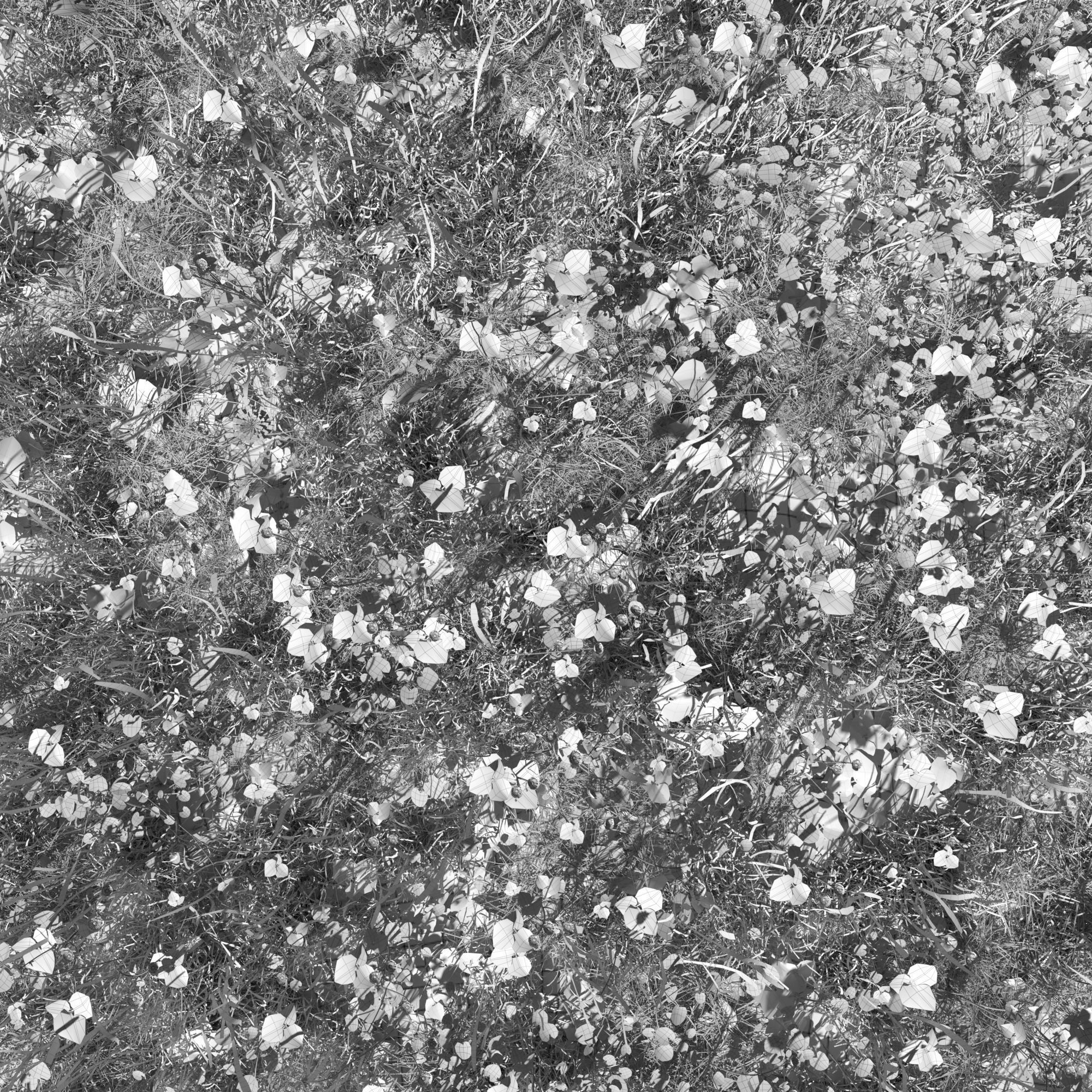 Creeping Buttercup Flower Meadow Patch 3D model_3