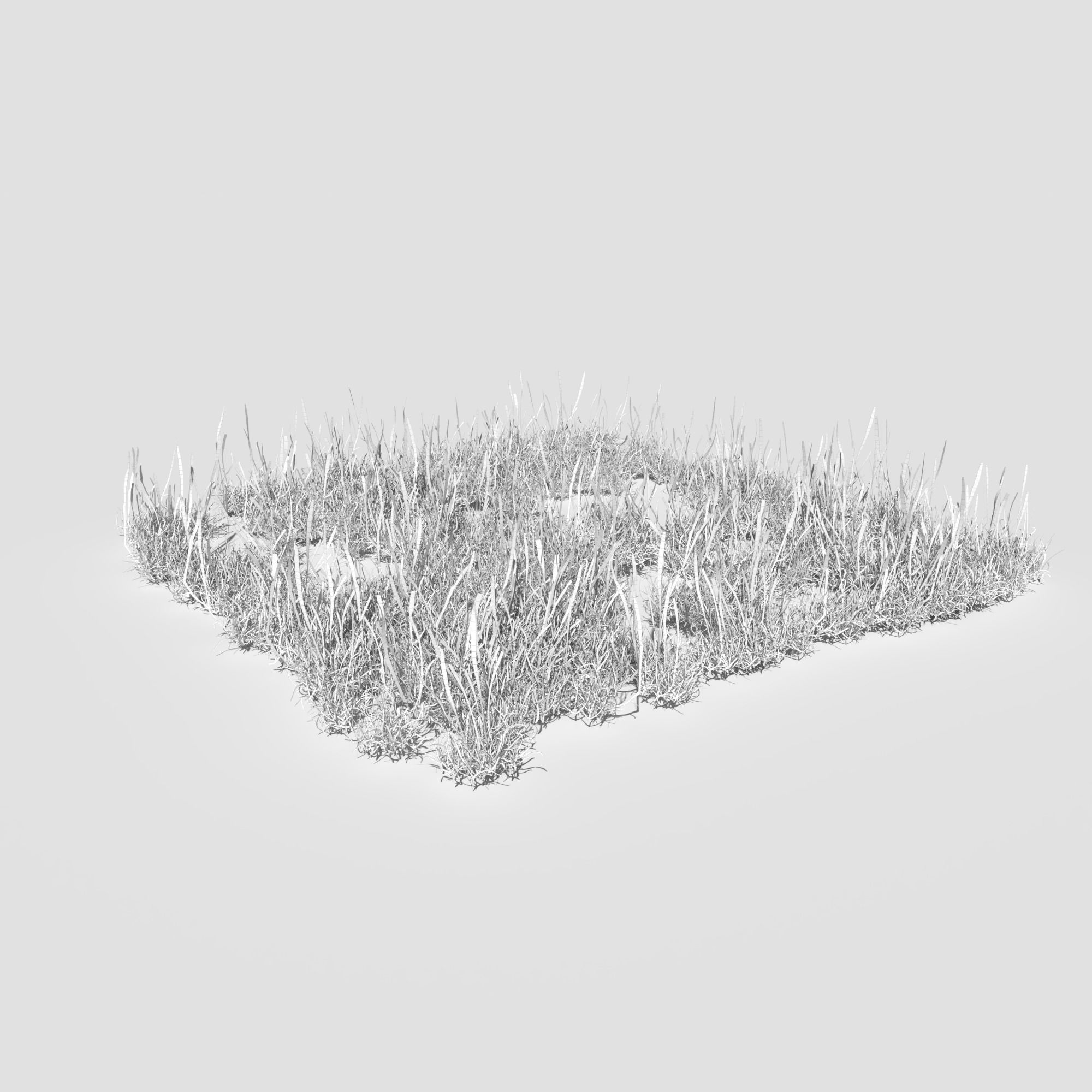 Creeping Buttercup Flower Meadow Patch 3D model_19