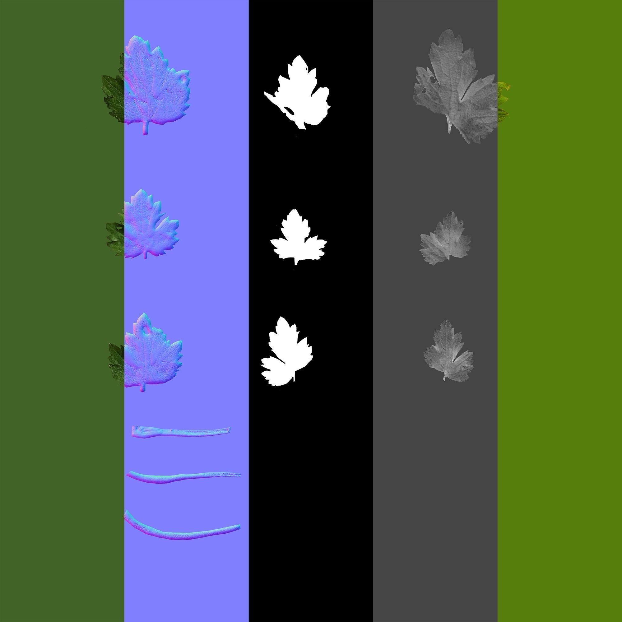 Creeping Buttercup Flower Meadow Patch 3D model_21