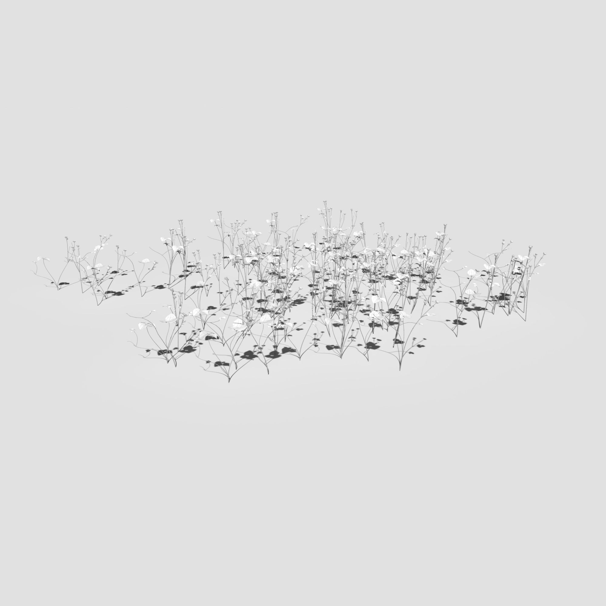 Creeping Buttercup Flower Meadow Patch 3D model_9