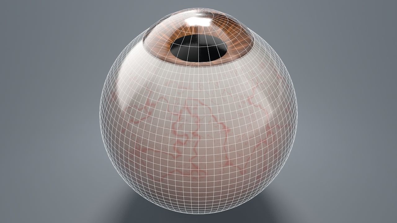 Brown Eyeball Low-poly 3D model_9