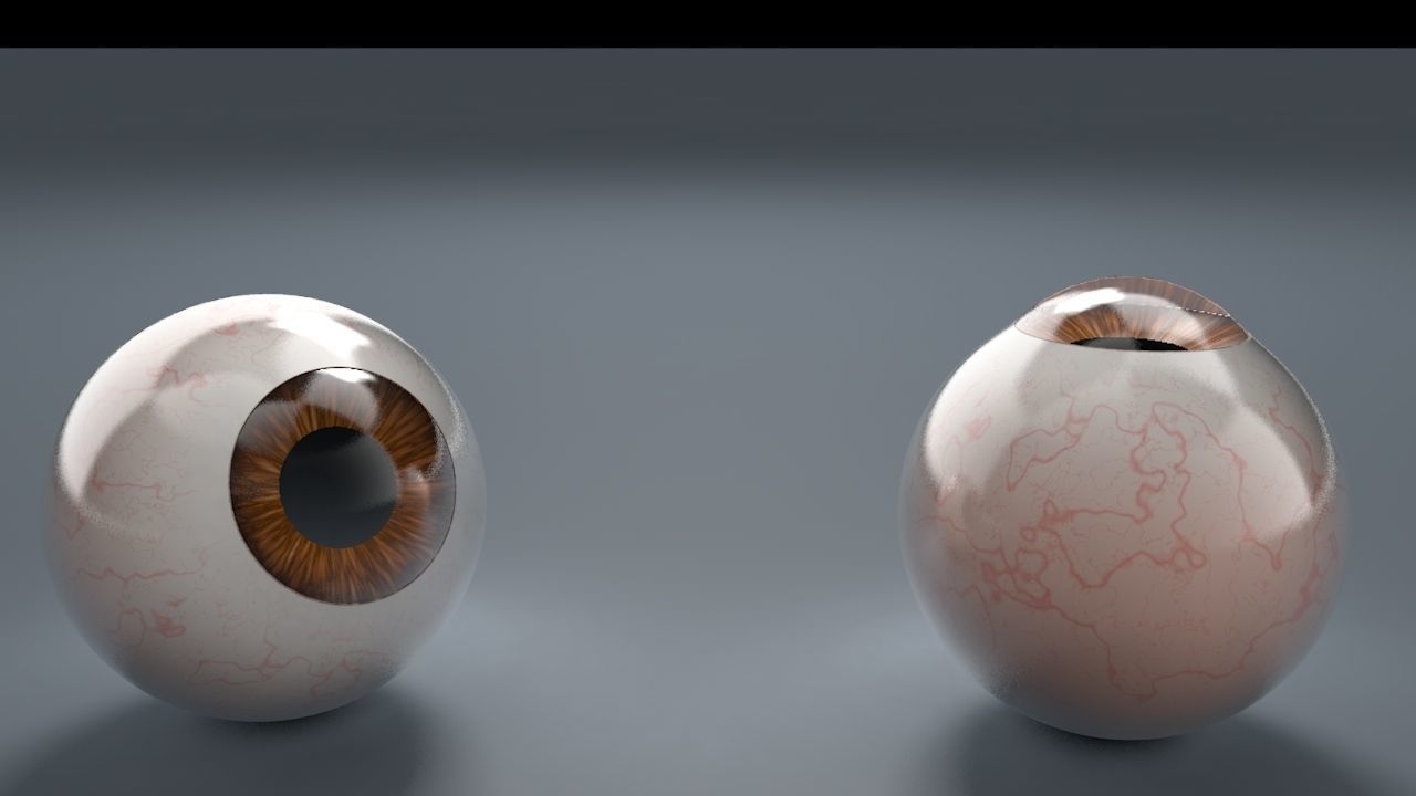 Brown Eyeball Low-poly 3D model_4