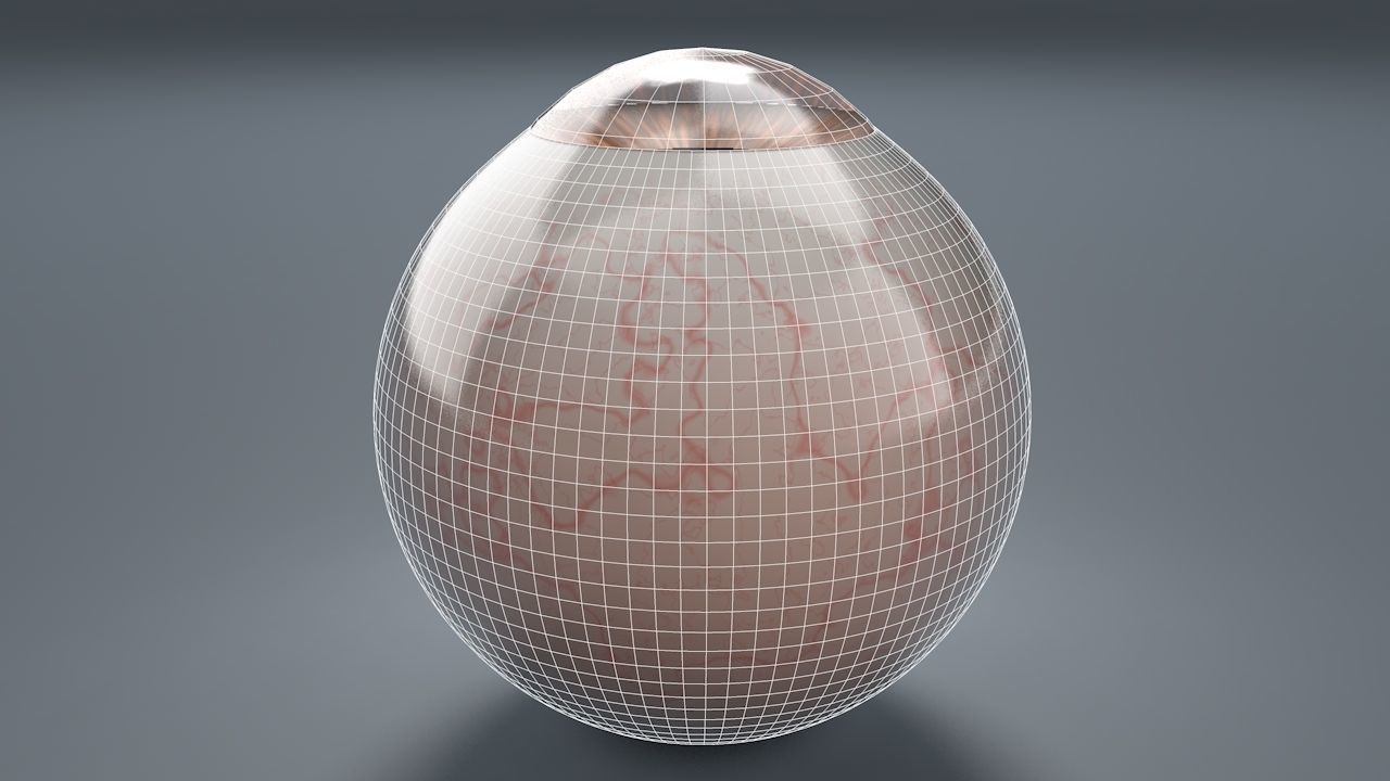 Brown Eyeball Low-poly 3D model_8