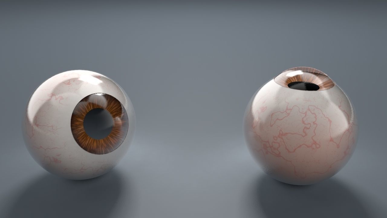 Brown Eyeball Low-poly 3D model_5