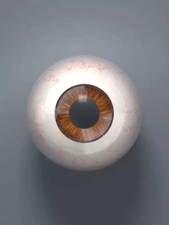 Brown Eyeball Low-poly 3D model_0