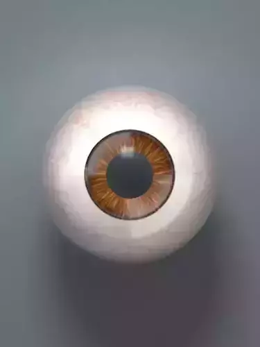 Brown Eyeball Low-poly 3D model