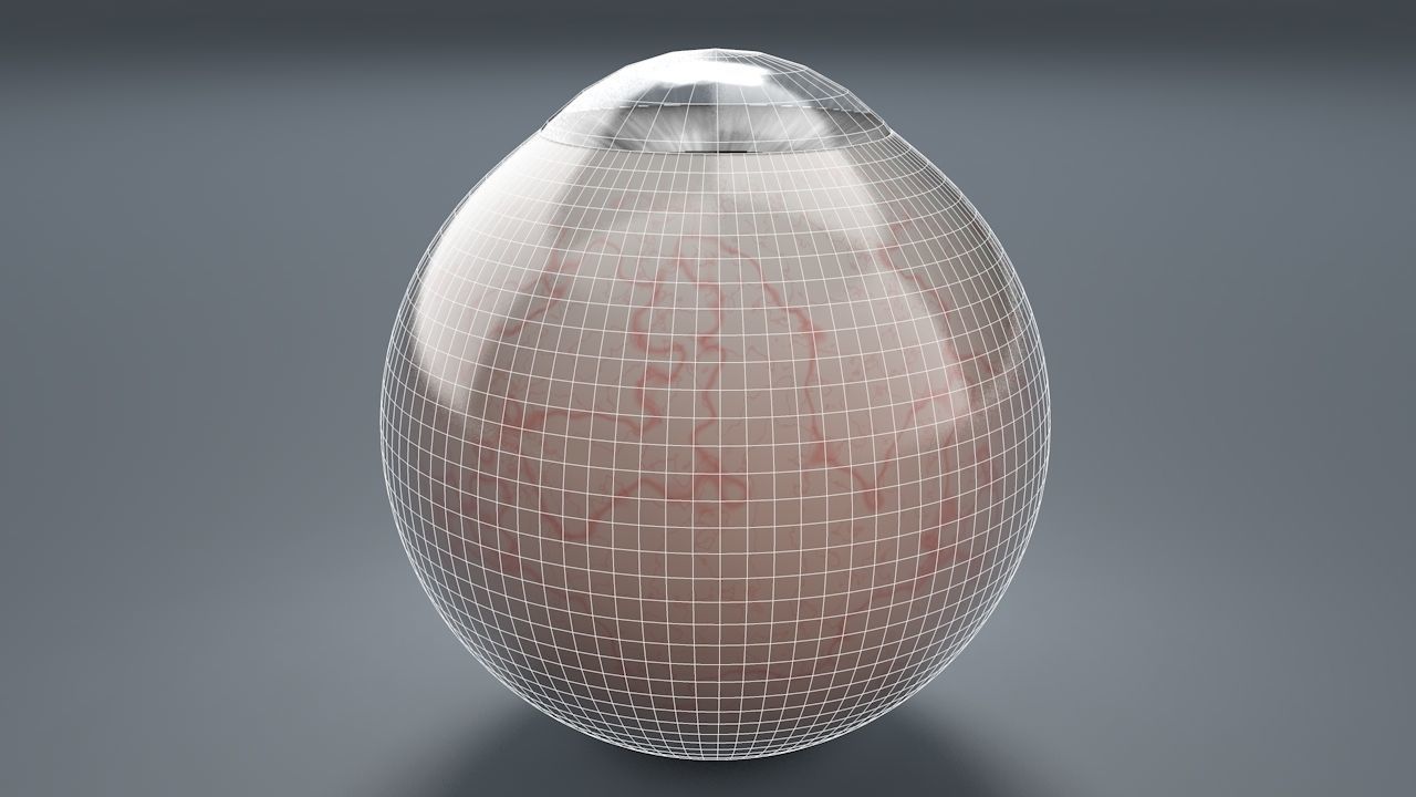 Grey Eyeball Low-poly 3D model_8