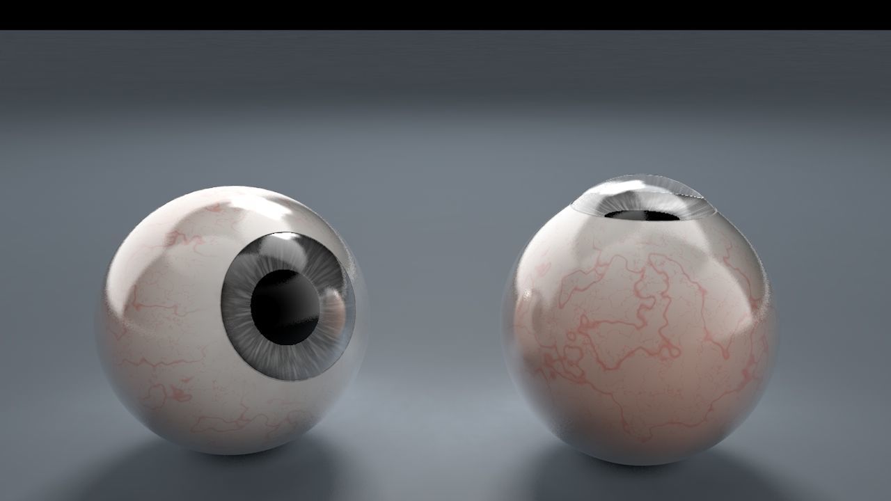 Grey Eyeball Low-poly 3D model_4