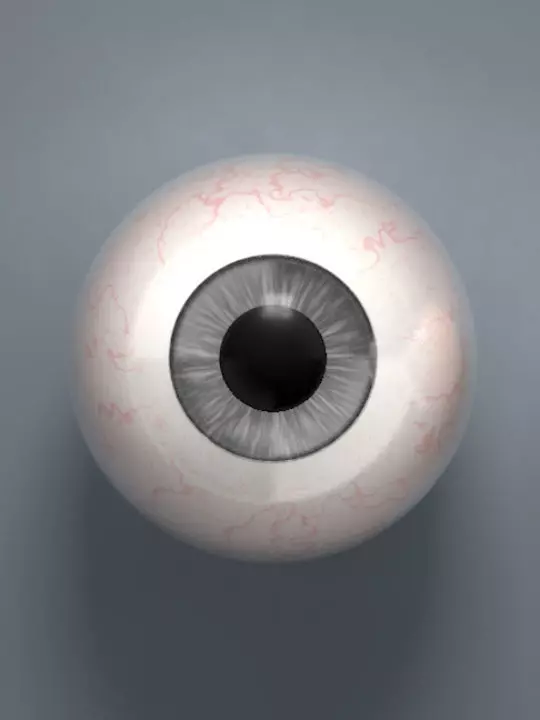 Grey Eyeball Low-poly 3D model_0