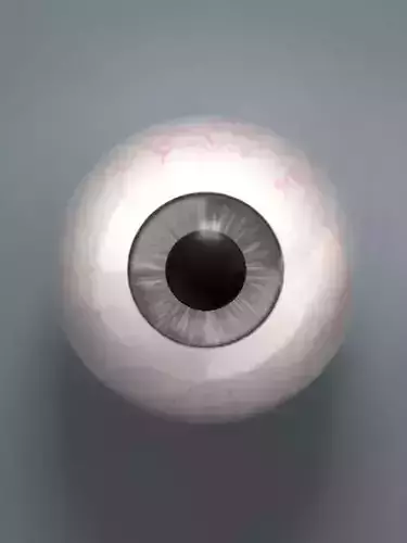 Grey Eyeball Low-poly 3D model