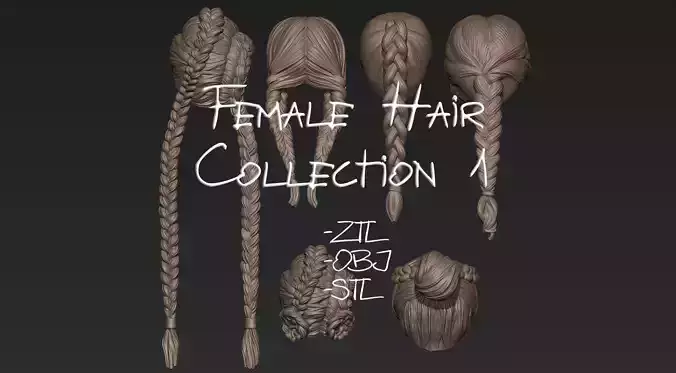 Female Hair Collection 1 3D model