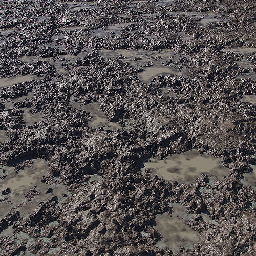 Mud texture Texture