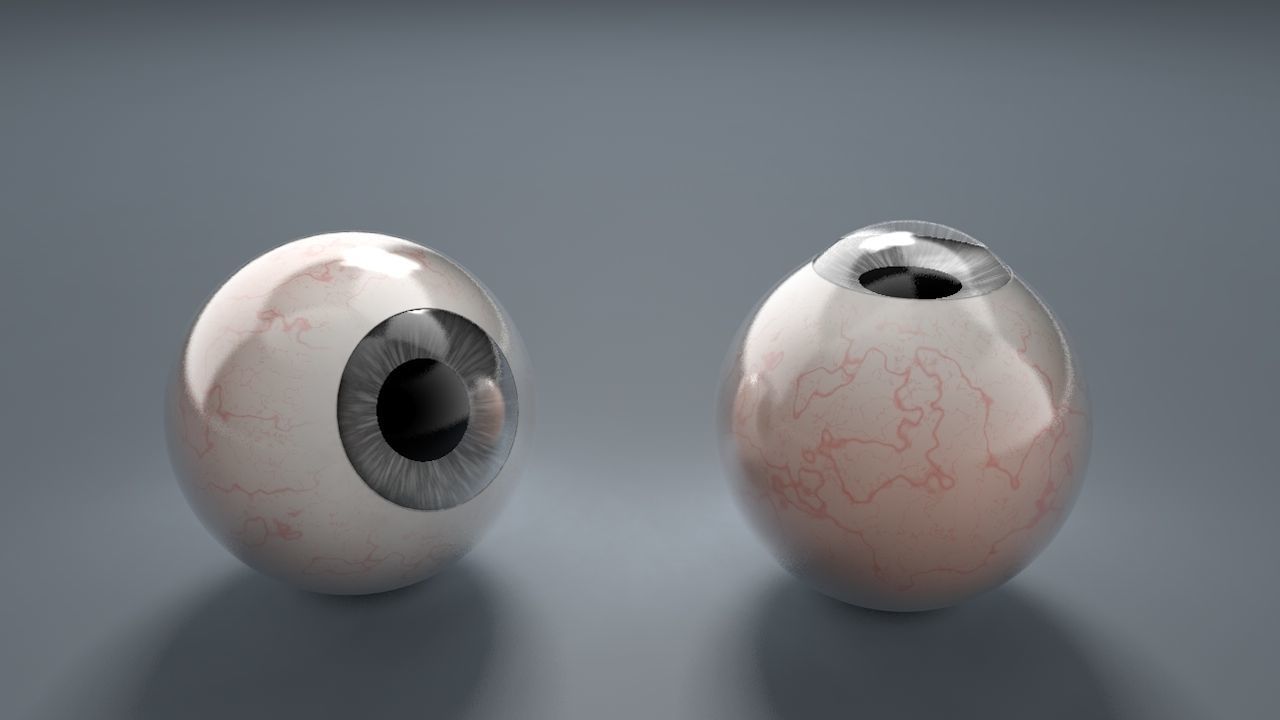 Human Eyeballs 3D Model Collection_19