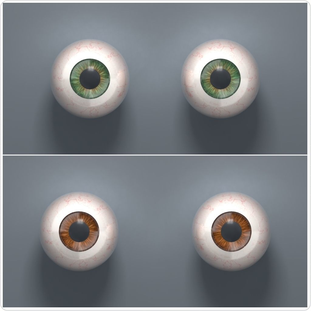 Human Eyeballs 3D Model Collection_2