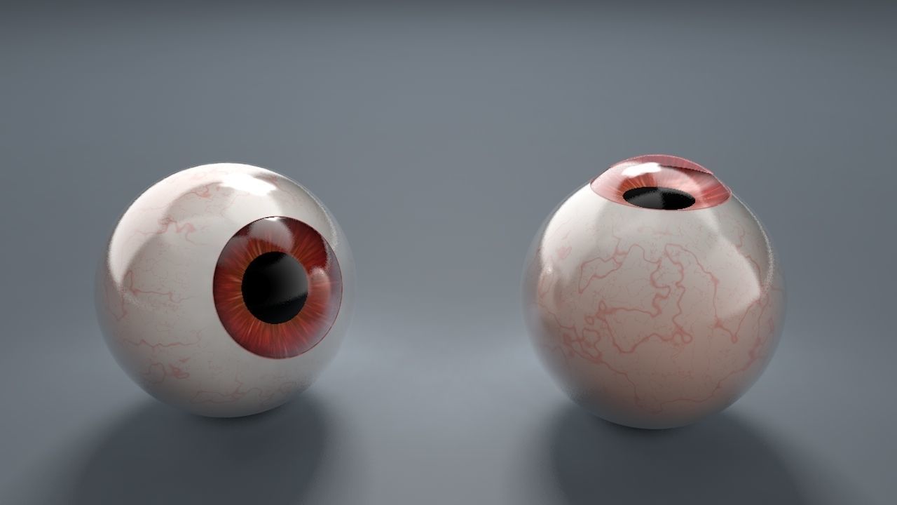 Human Eyeballs 3D Model Collection_21