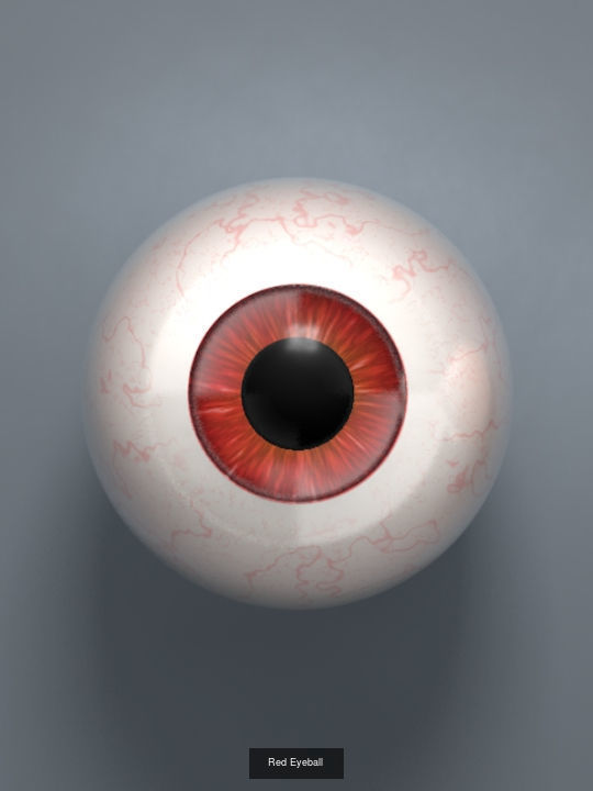 Human Eyeballs 3D Model Collection_8