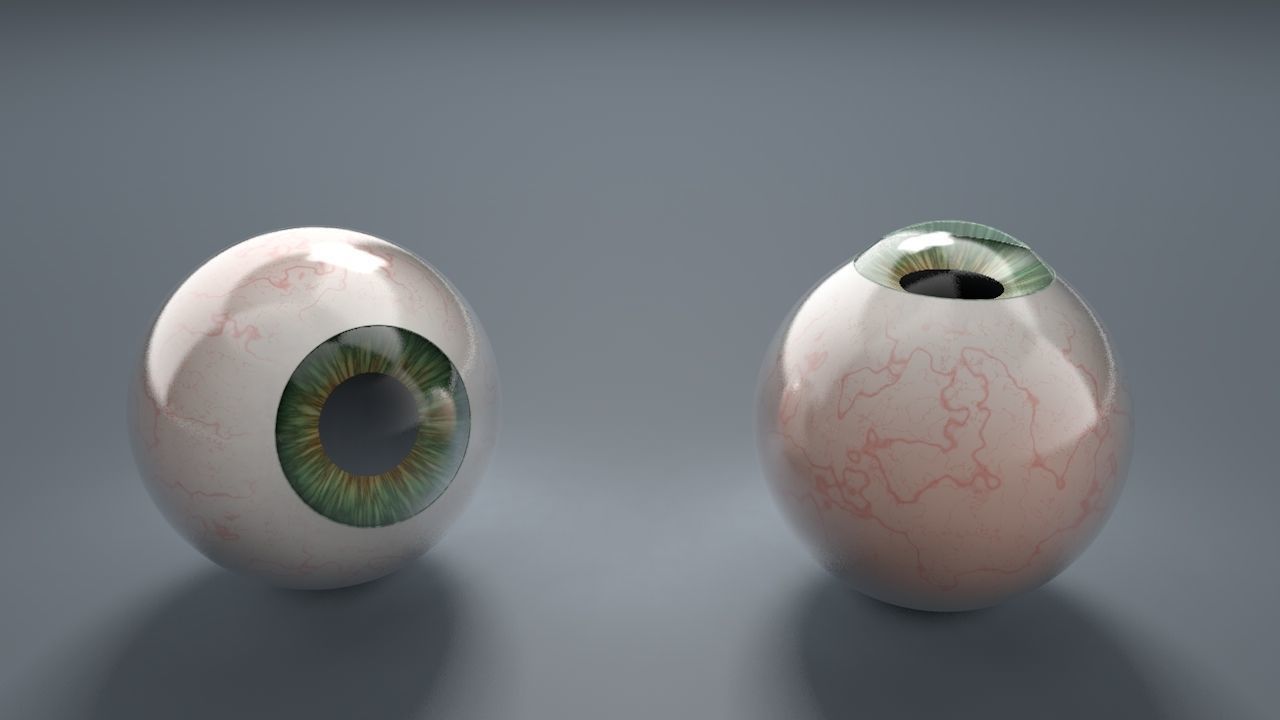 Human Eyeballs 3D Model Collection_17