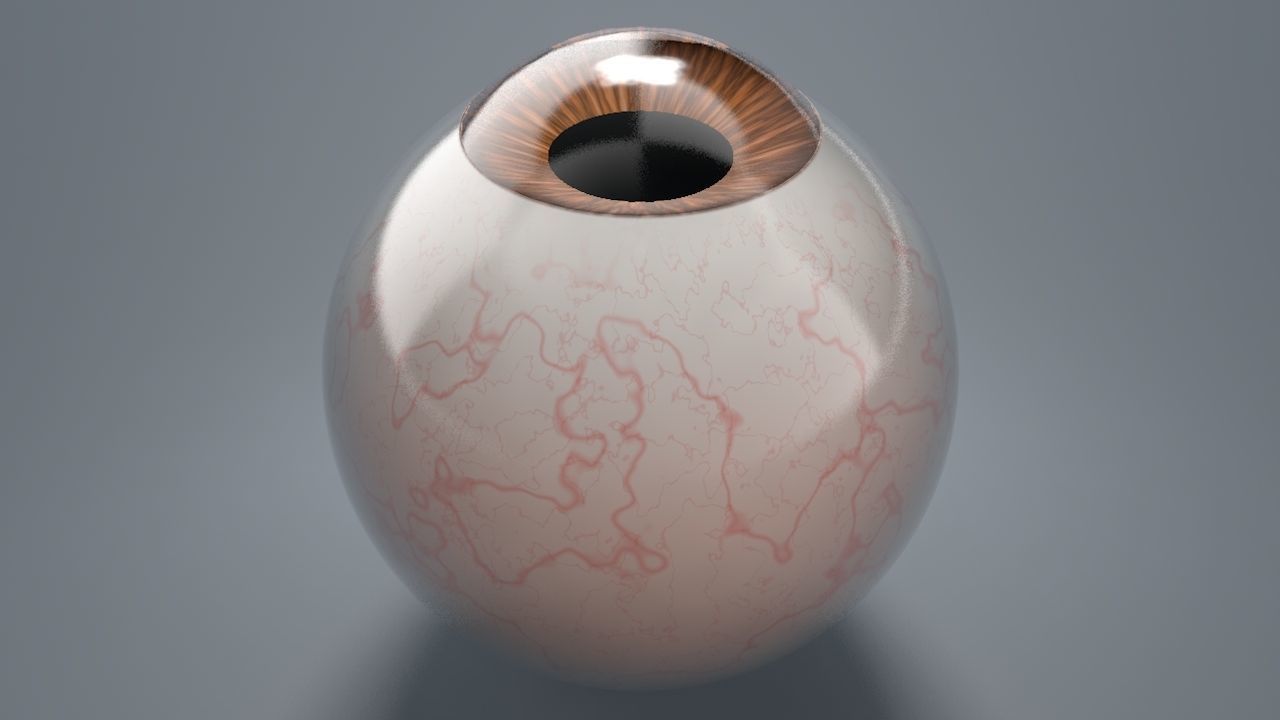 Human Eyeballs 3D Model Collection_14