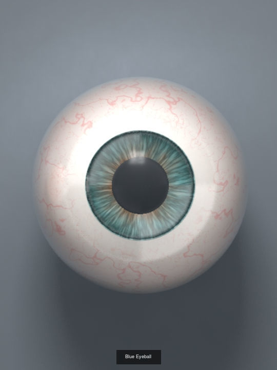 Human Eyeballs 3D Model Collection_4