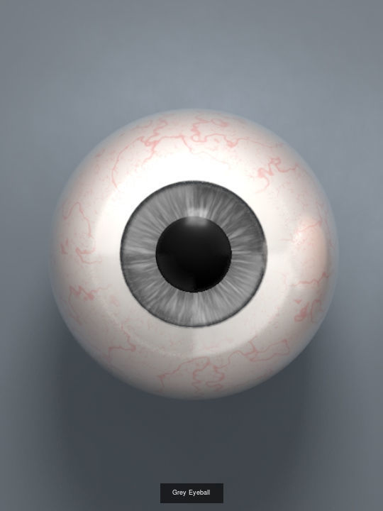 Human Eyeballs 3D Model Collection_7