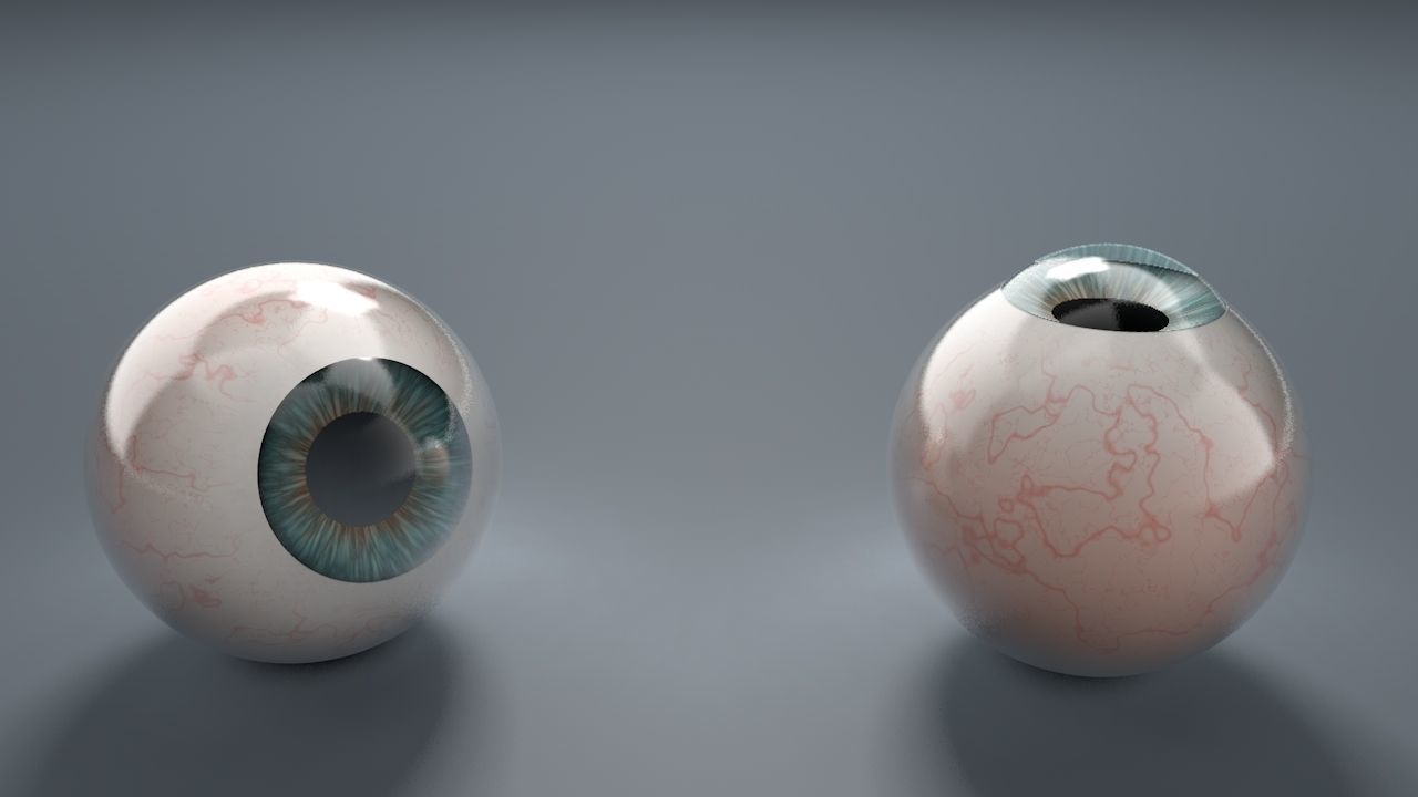 Human Eyeballs 3D Model Collection_13
