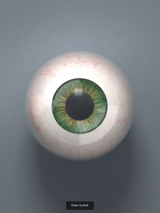 Human Eyeballs 3D Model Collection_6
