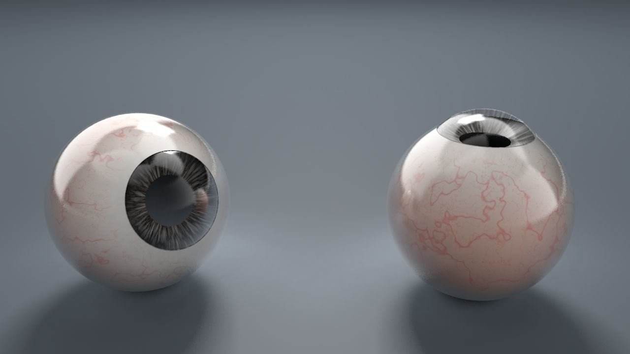 Human Eyeballs 3D Model Collection_11