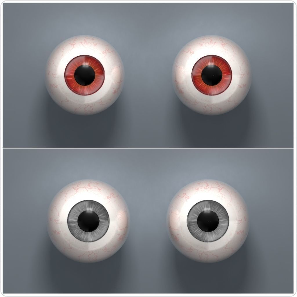 Human Eyeballs 3D Model Collection_3