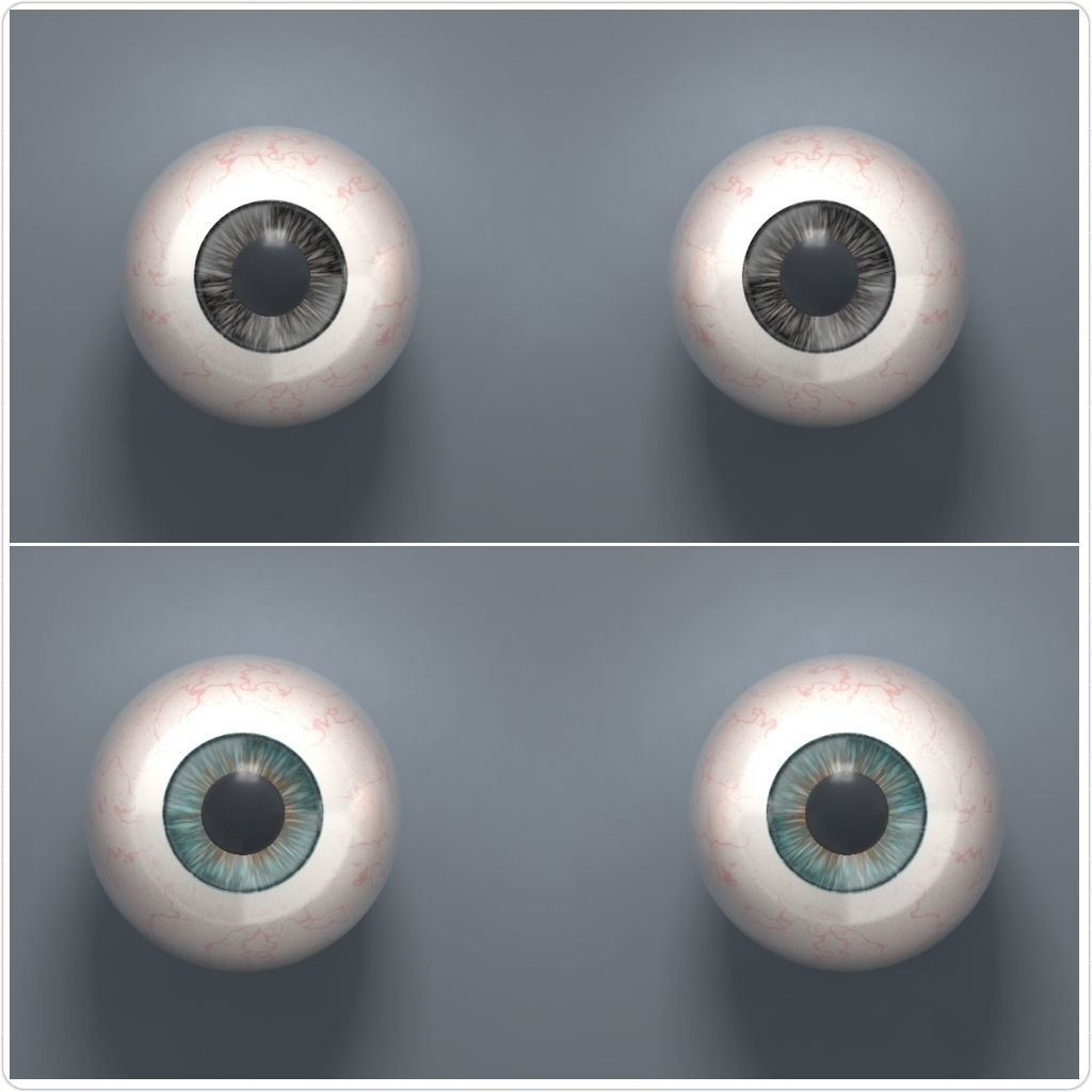 Human Eyeballs 3D Model Collection_1