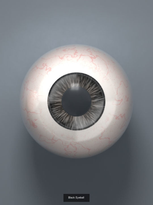 Human Eyeballs 3D Model Collection_9