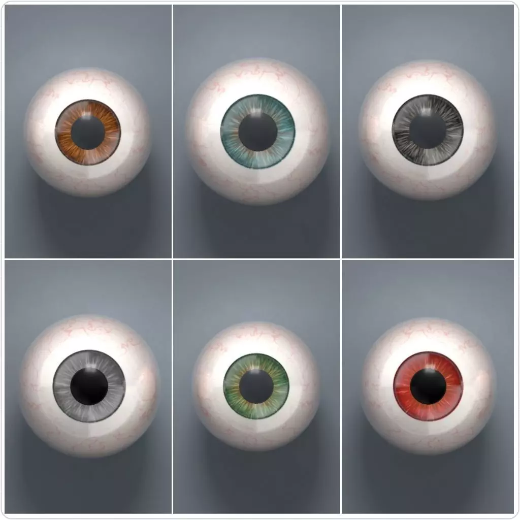 Human Eyeballs 3D Model Collection_0