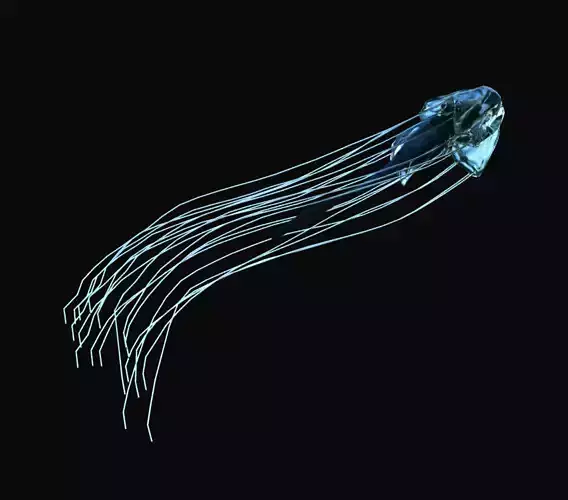 Jellyfish animted model with dynamics Low-poly 3D model