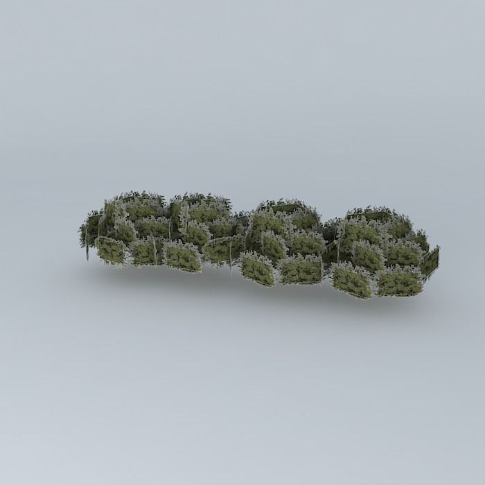 Street trees taquari Free 3D model_1