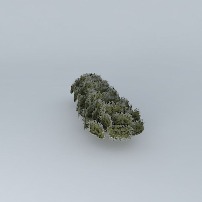 Street trees taquari Free 3D model_2