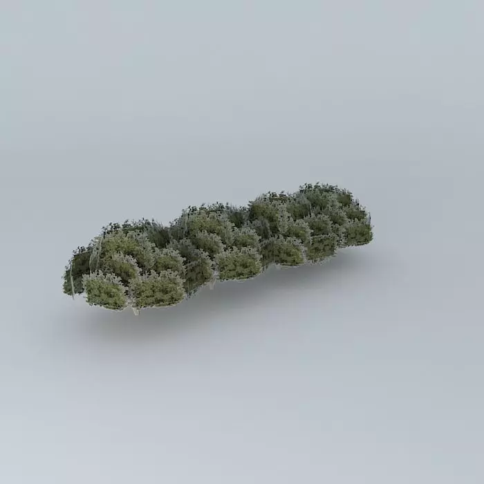 Street trees taquari Free 3D model_0